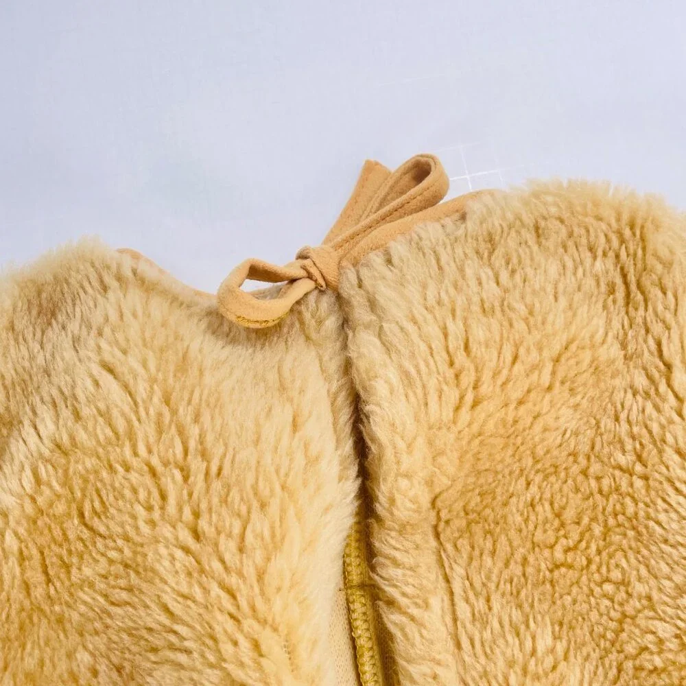 Vintage features lion